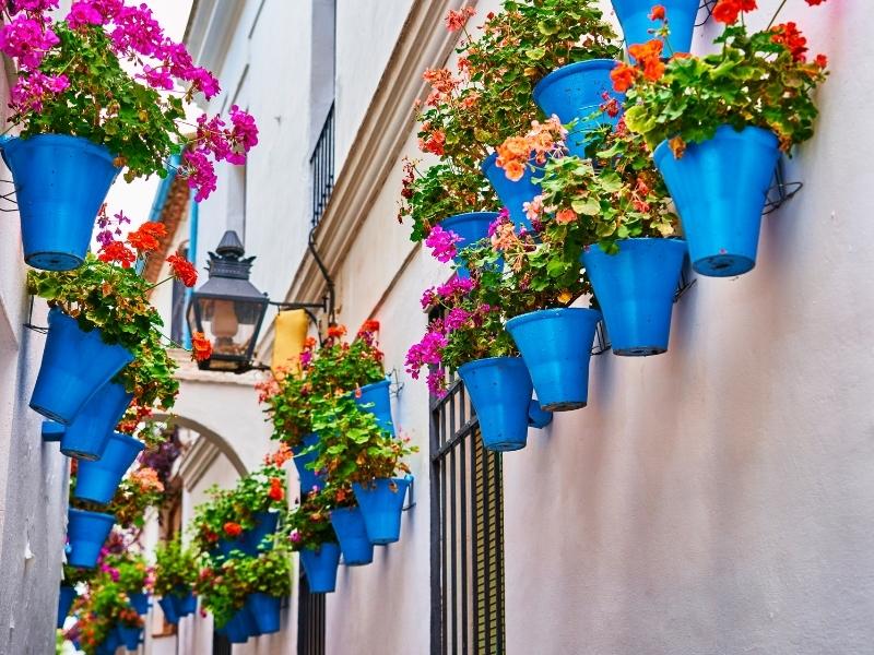 Cinco lugares perfectos para visitar en invierno en Córdoba