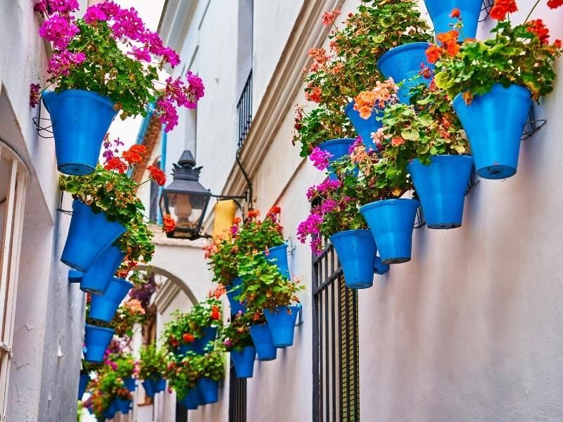 diez razones por las que visitar cordoba en primavera