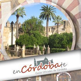 visita guiada mezquita alcazar