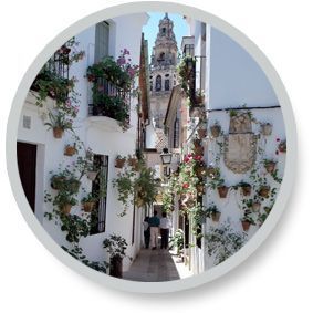 icono visita guiada mezquita juderia