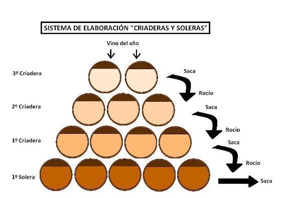 sistema elaboracion vinos cordoba